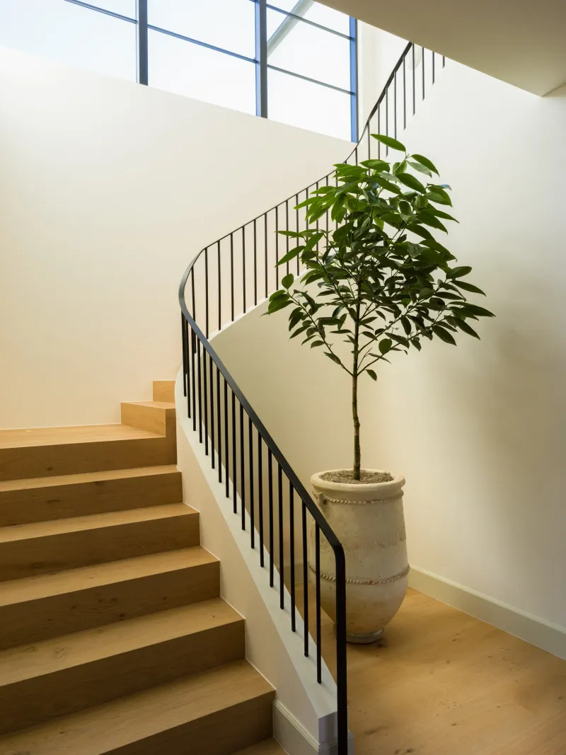 Full remodel in Valley Village